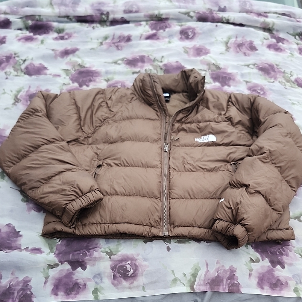 The North Face Brown Cropped Puffer Jacket with Matte Finish